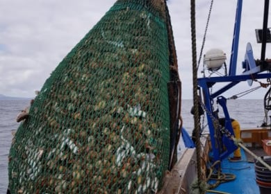 Fishery closure 'not taken lightly'
