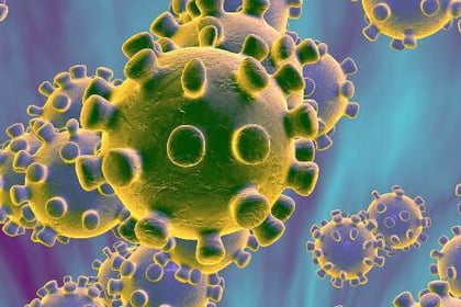 87 new cases of Coronavirus detected