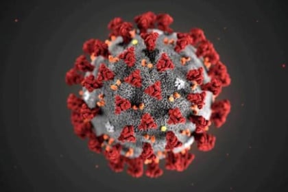 76 new cases of Coronavirus detected