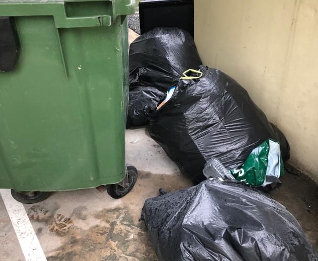 Council promises support for people who are struggling with their bins