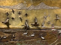 Manx BirdLife display coming to an end at the Manx Museum