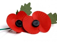 Musicale for poppy appeal