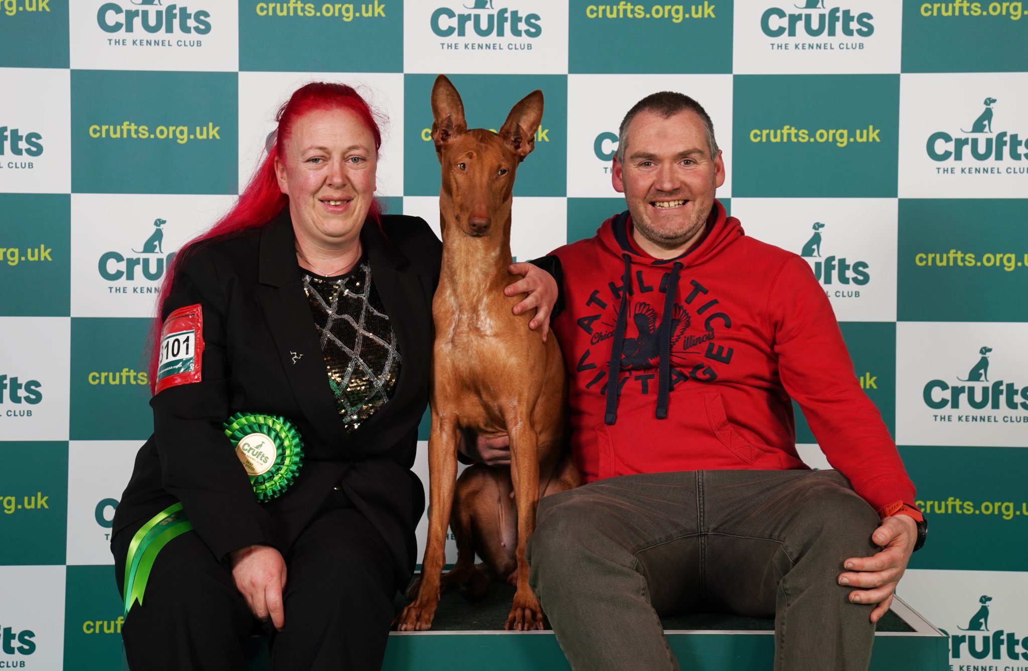 Crufts best sale hound winner