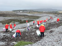 Beach Buddies call off clean up at Gansey