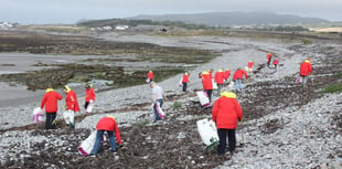 Beach Buddies call off clean up at Gansey