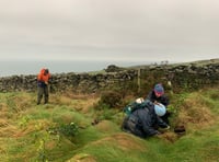 Manx Wildlife Trust’s tree planting session