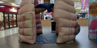 Inflatable lungs to come over to educate people