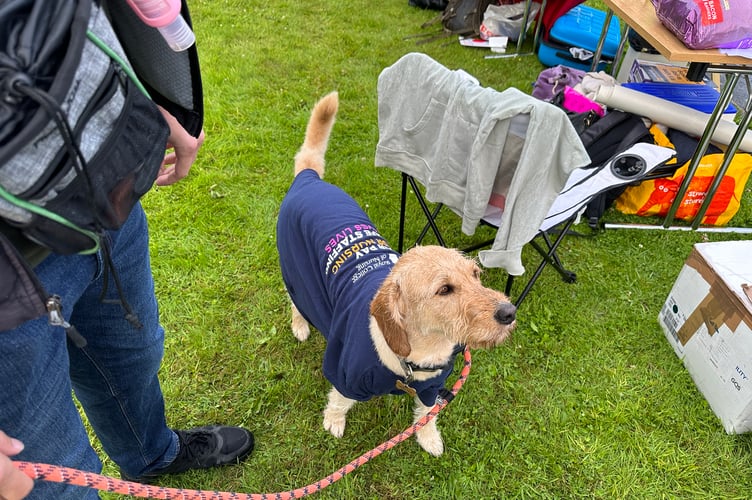 Walter the dog is at Noble's Hospital today demanding fairer pay for nurses.