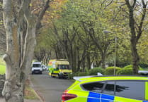 Ambulance driver who crashed into a tree near hospital appears in court