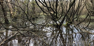 Nature reserve extended thanks to funds donated in memory of mum