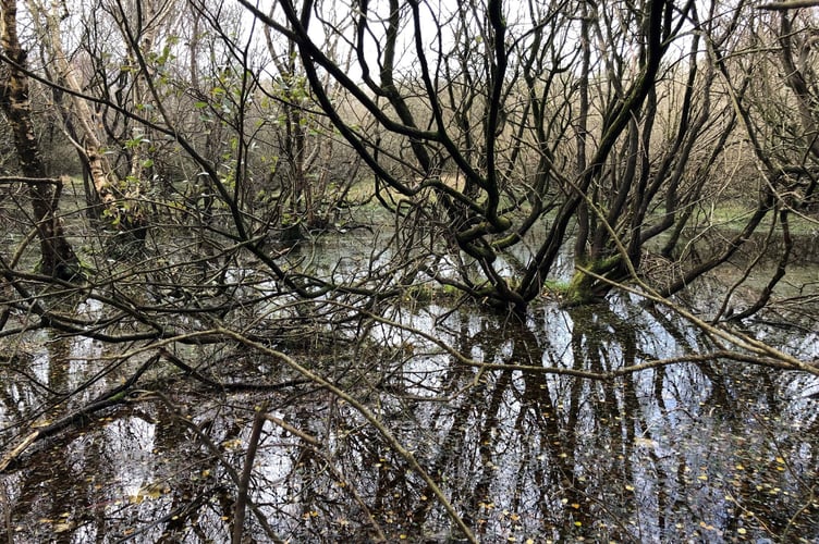 Manx Wildlife Trust Goshen Nature Reserve