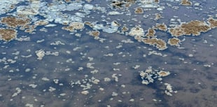 Raw sewage and toilet paper found washed up on Isle of Man beach