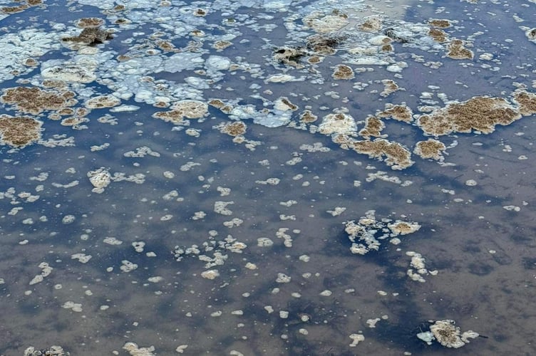 Raw sewage reported on Peel Beach this weekend 