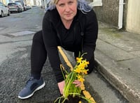 Woman plants flowers in potholes in protest at state of street