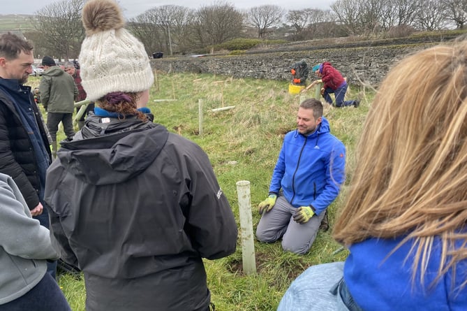 The planting of the trees at Ballakilley in March 2023