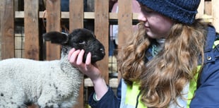 Beautiful pictures capture Lambing Live event as first newborns arrive