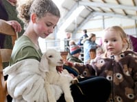 Hundreds flock to farm for a cuddle with baby goats and lambs