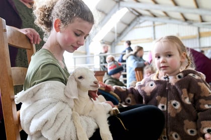 Hundreds flock to farm for a cuddle with baby goats and lambs