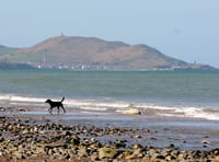 Dogs ban at island beaches will be lifted next week