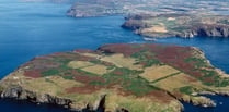 Calf of Man - A deep dive into island's iconic Marine Nature Reserve