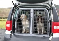Using crates to keep dogs away from busy roads during Isle of Man TT 'not the answer'