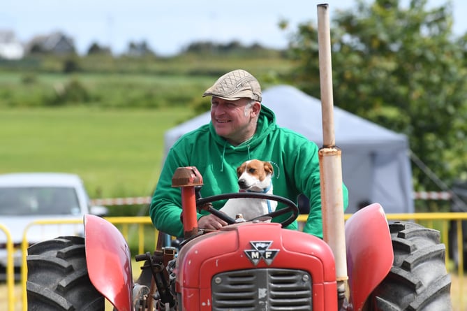 The Southern Vintage Engine and Tractor ClubÕs annual two-day vintage show - pictured is Dave Corrin with Barney the dog on a 1950s MF 35 Massey Ferguson tractor