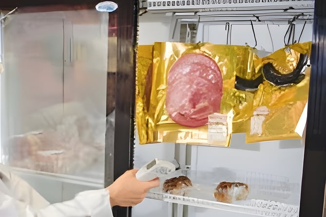 Hygiene inspector tests the temperature of food in a shop fridge