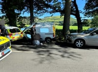 Two arrests after stolen van intercepted