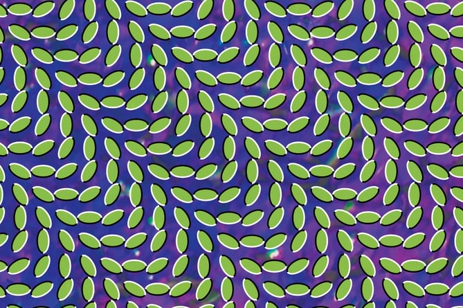 Animal Collective is releasing Merriweather Post Pavilion on the 15th anniversary