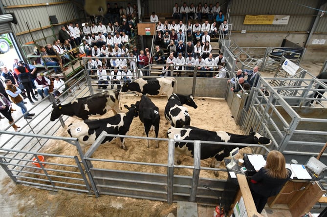 The Northern Area Stockman of the Year competition, hosted by Isle of Man Young Farmers at Central Marts at Knockaloe 