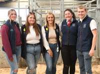 Pictures as competitors from across UK attend regional stockman event