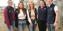 Pictures as competitors from across UK attend regional stockman event