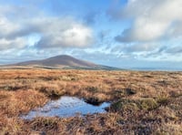 'Windfarm will have negative impact on our natural heritage'