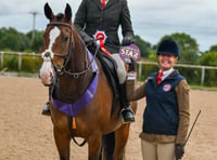 Anna Higgins qualifies for Horse of the Year Show