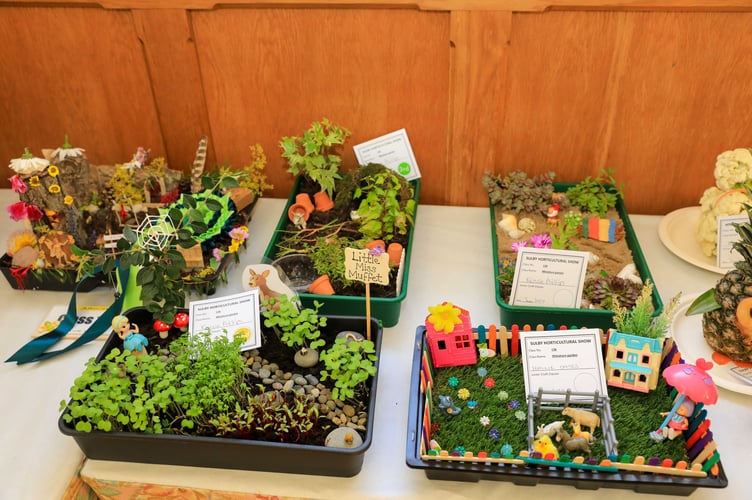 Miniature garden displays 