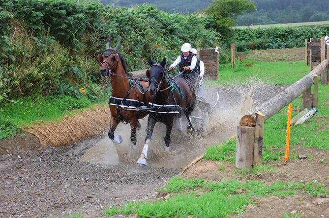 Libby Priest with her horses Ollie and Monty accompanied with her backstep Michael Sloan on their way to winning Manx Harness Club Ltd's Masters event last weekend (Photo: IoM Equine)