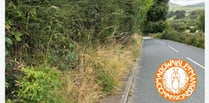 Commissioners urging residents to cut hedges for pedestrian safety