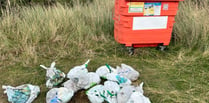 Charity's message falls on deaf ears as bags of cat litter dumped