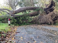 Dreemskerry Road to remain closed overnight due to fallen tree