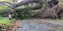 Dreemskerry Road to remain closed overnight due to fallen tree