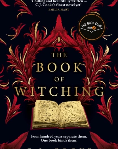 Book review: 'Perfect Hop Tu Naa witchy reading'