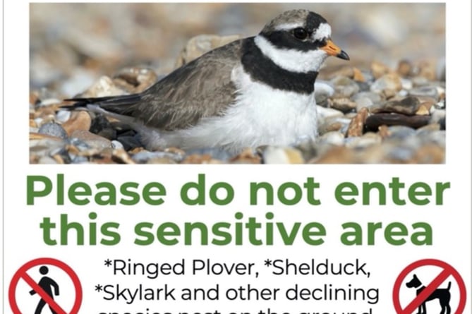 Poster erected at Langness as part of a project to protect nesting birds