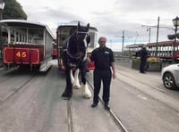 Tributes pour in after respected Douglas Bay Horse Tramway driver dies