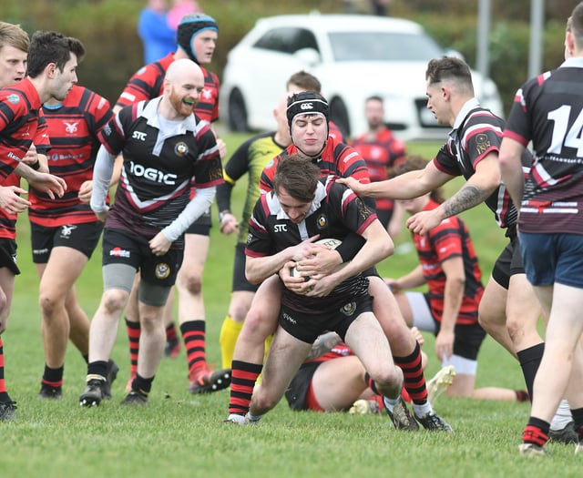 Western Vikings Rugby Club on the hunt for new senior players