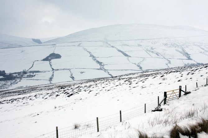 Snow on the Mountain Road