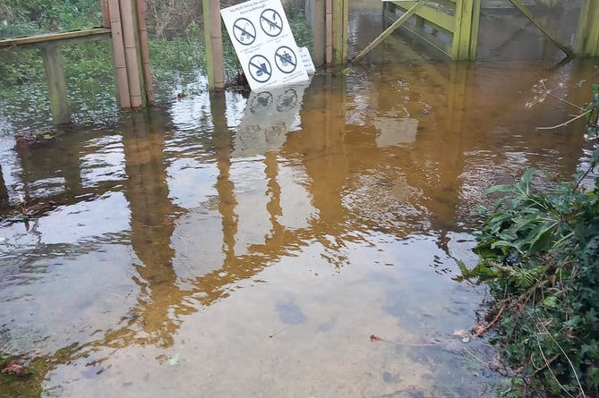 Areas of the Wildlife Park were flooded on Saturday but all the animals were safe