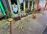 Cafe devastated after beloved plant display 'destroyed' by vandals