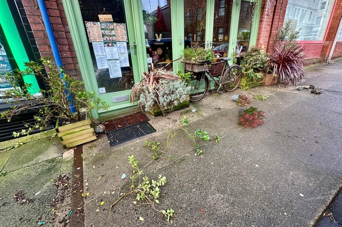 Vibe Cafe on Ridegway Street was vandalised on Saturday night