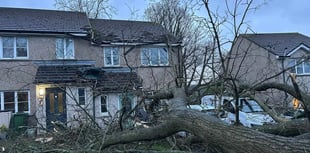 Shock as tree comes within inches of falling through roof in storm