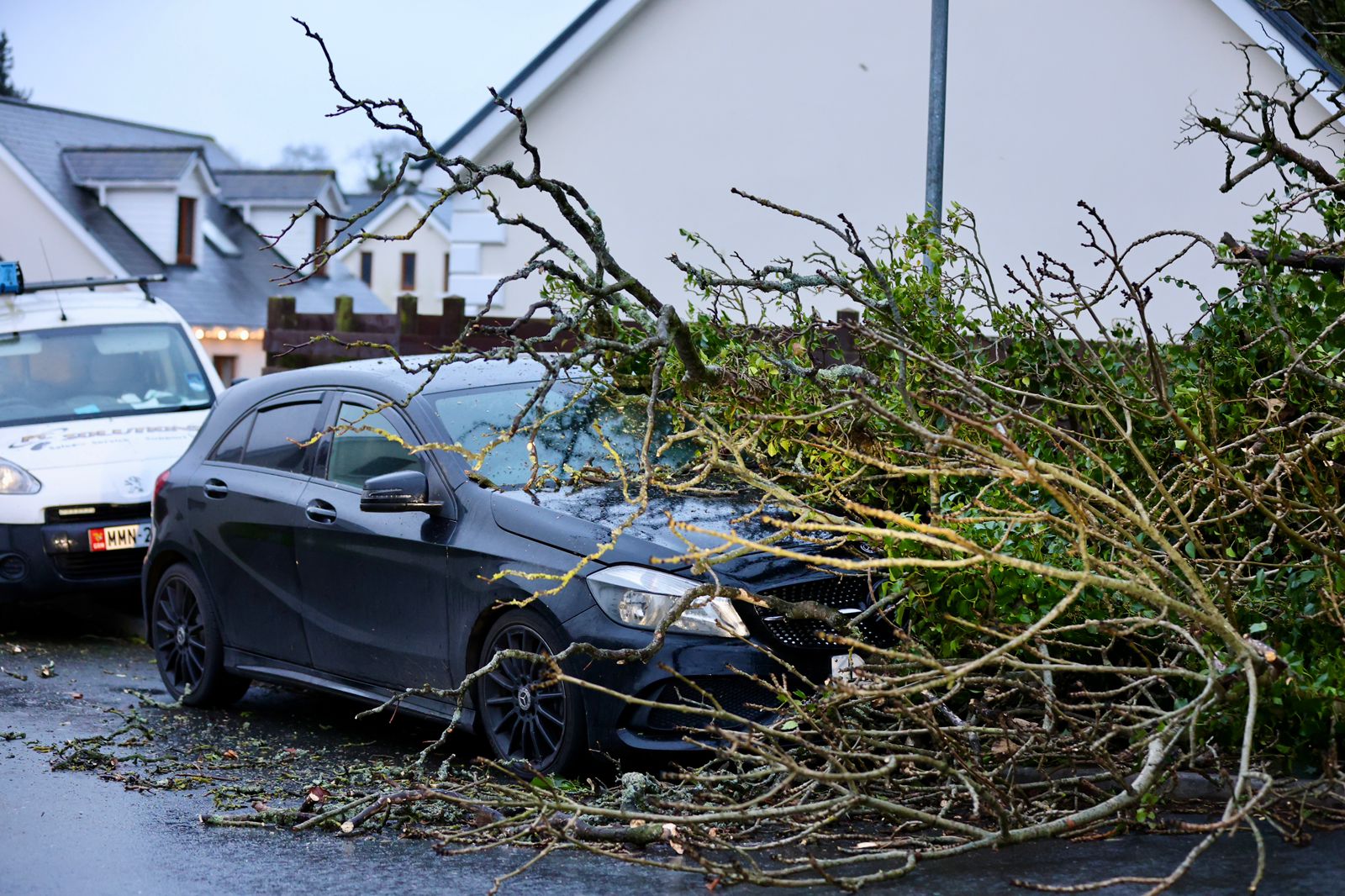 Storm Darragh LIVE updates trees down and roads closed across the Isle